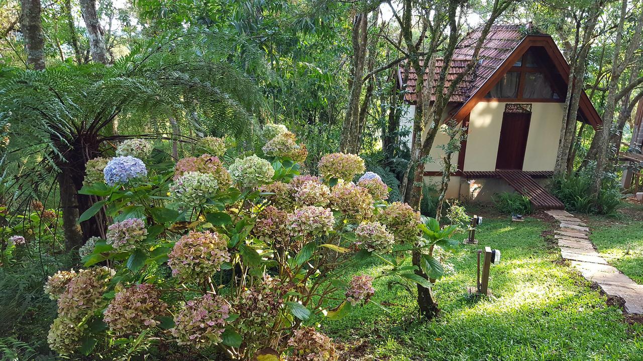 Chale Coruja Listrada - Ninho Das Aves Campos do Jordão Exterior foto